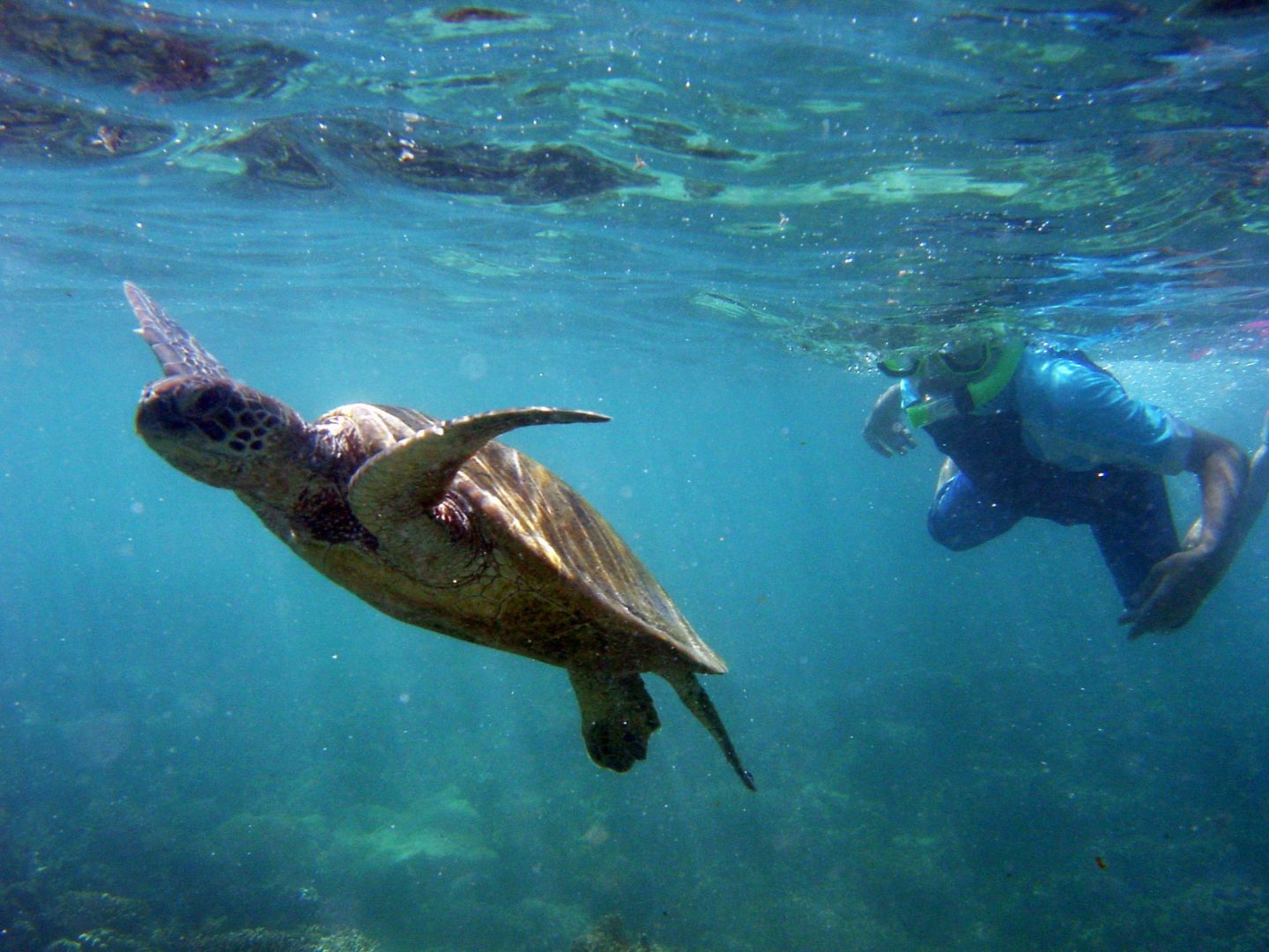 Ningaloo Coast included in UNESCO’s World Heritage list